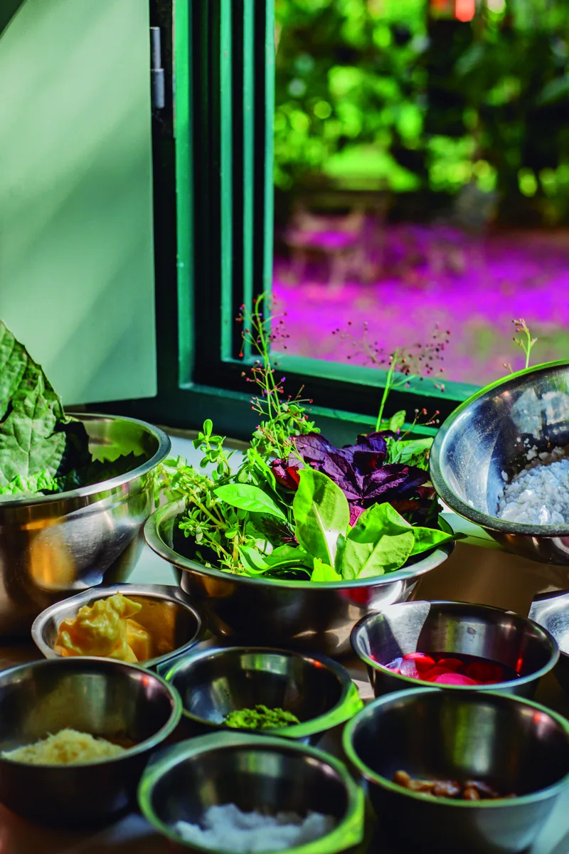 Salada de PANCs — detalhe